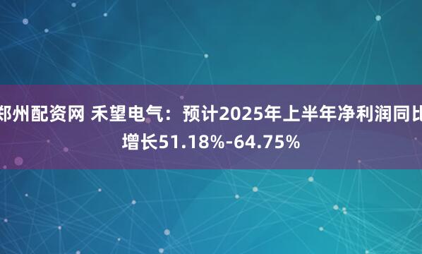郑州配资网 禾望电气：预计2025年上半年净利润同比增长51.18%-64.75%